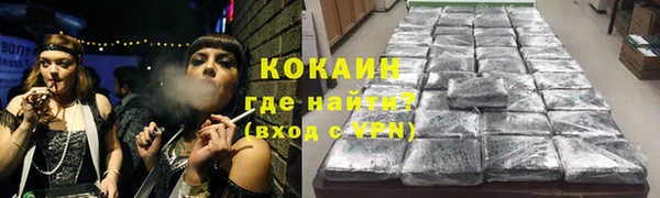 мдпв Осташков