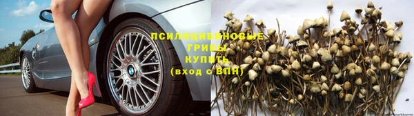 первитин Арсеньев
