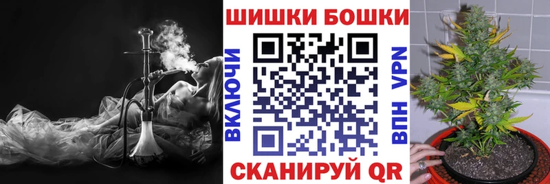 Бошки Шишки план Спас-Деменск